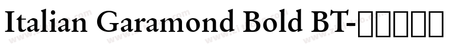 Italian Garamond Bold BT字体转换